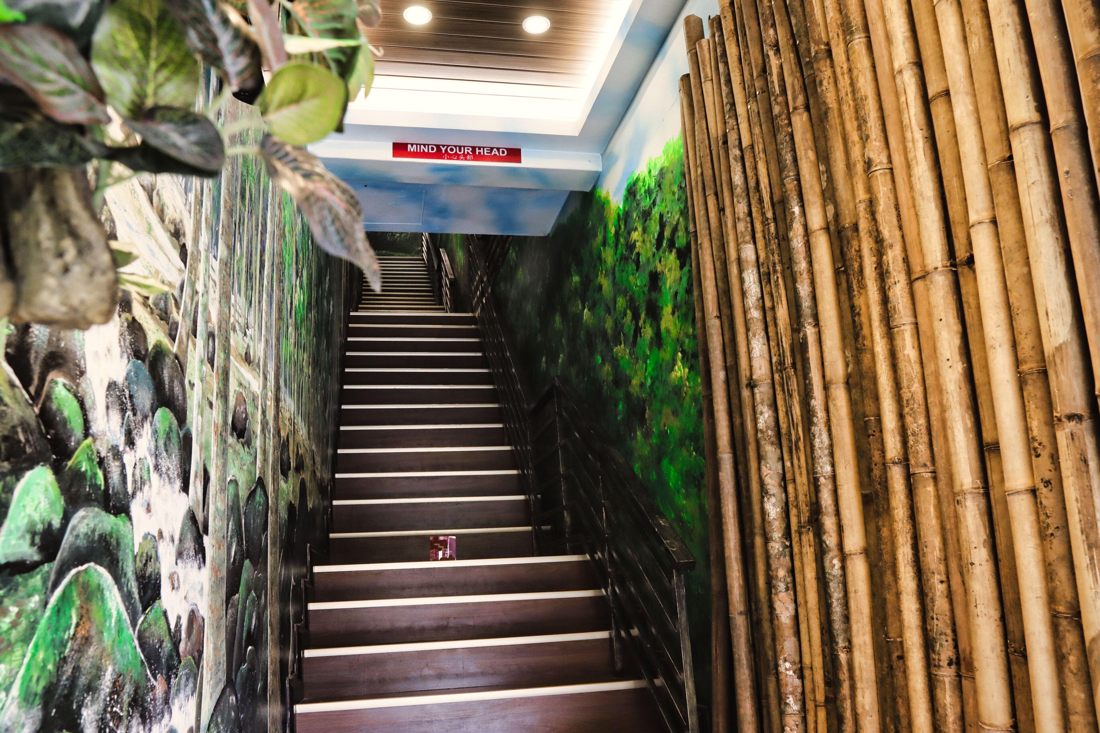 Rain Forest Hotel — Bilder 2